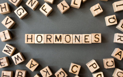 Hormone Help for Burning Mouth Syndrome: Updated Insights and Treatment